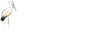 Vuelos de Tántalo
