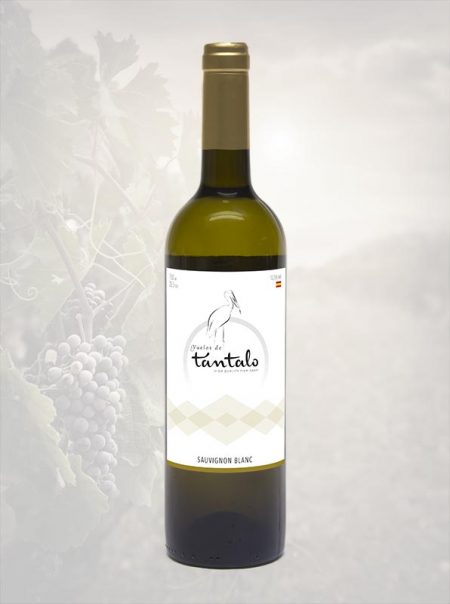 SAUVIGNON BLANC